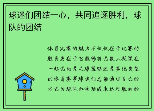 球迷们团结一心，共同追逐胜利，球队的团结